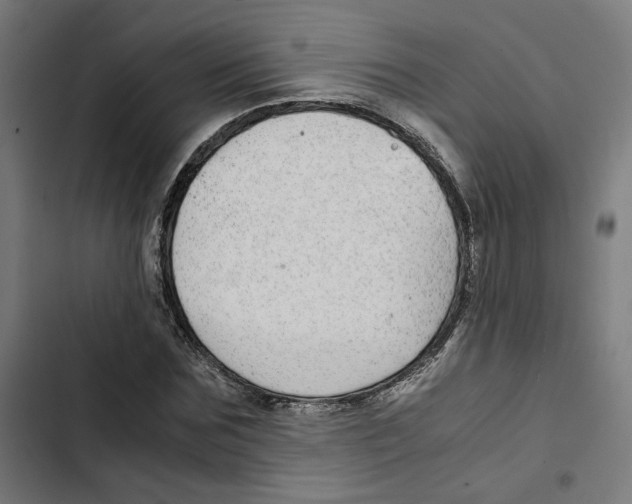 X0000102510875200809051408