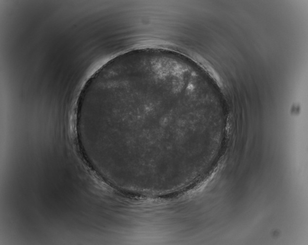 X0000102510877200809051408