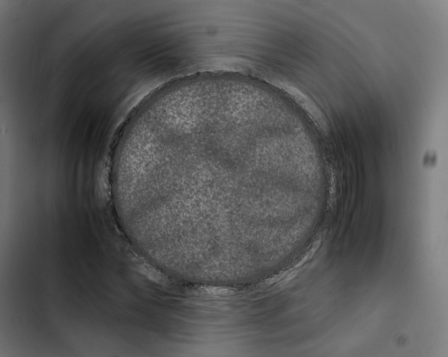 X0000102510878200809051408