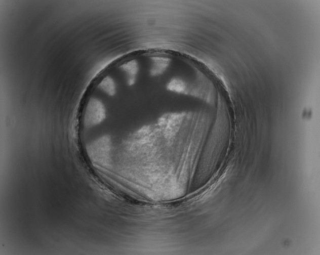 X0000102510879200809051408