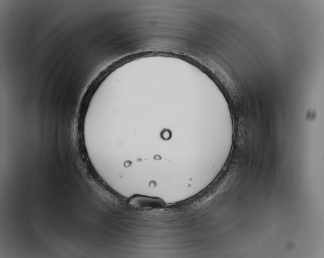 X0000102510880200809051408