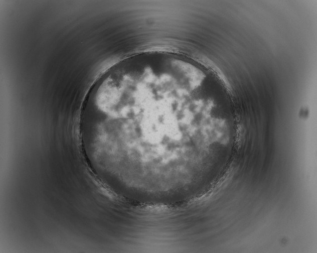 X0000102510882200809051408