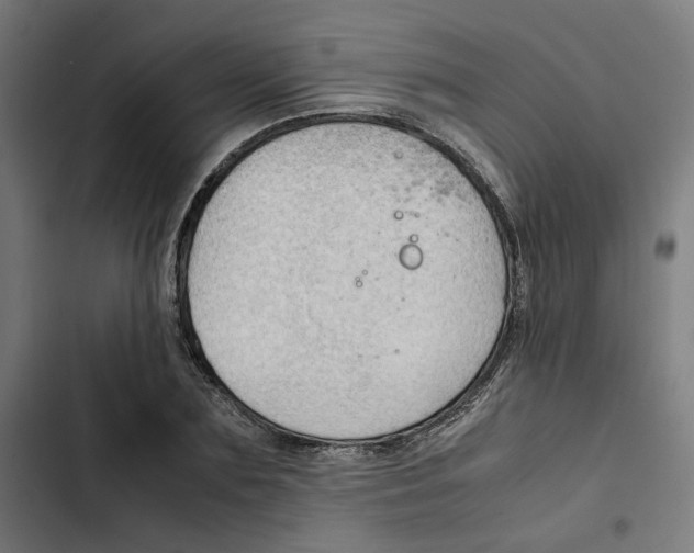 X0000102510883200809051408