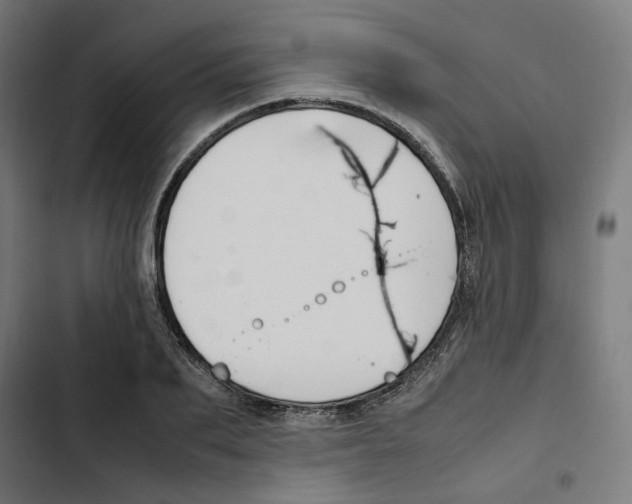 X0000102510887200809051408