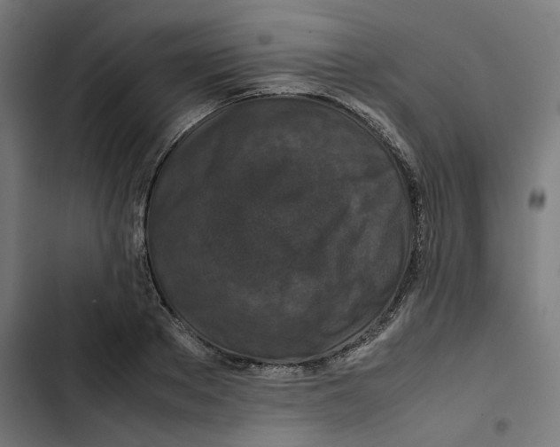 X0000102510889200809051408