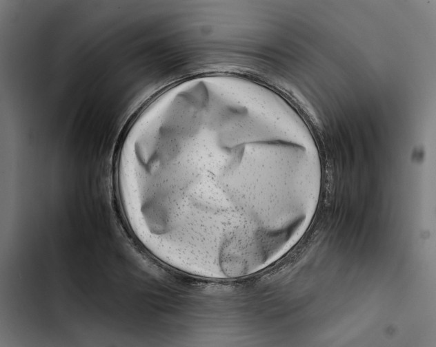 X0000102510890200809051407