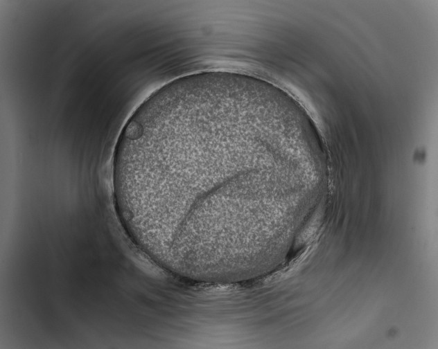 X0000102510891200809051407