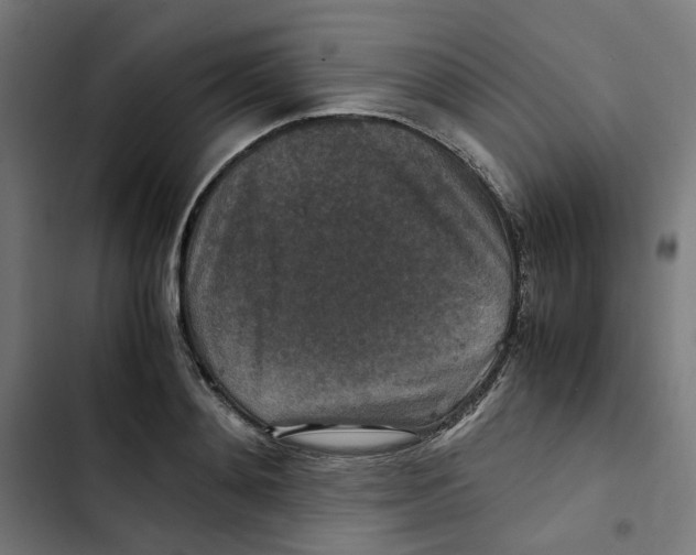 X0000102510892200809051407