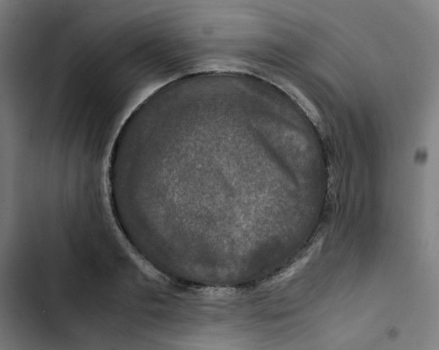 X0000102510893200809051407