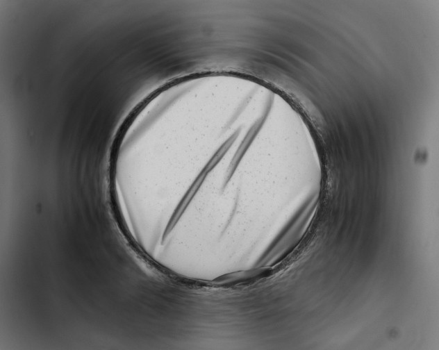 X0000102510894200809051407