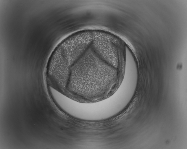X0000102510895200809051407
