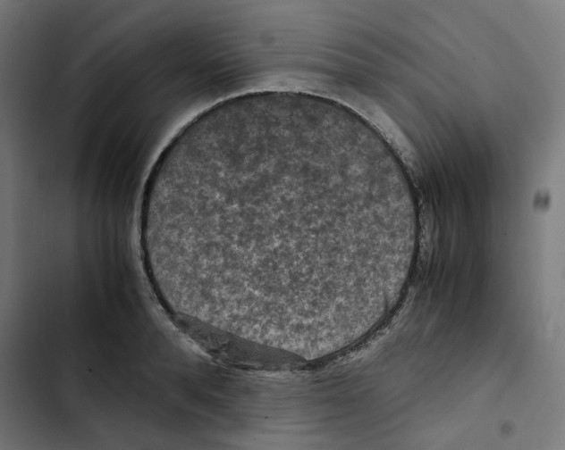 X0000102510896200809051407