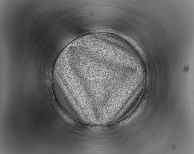 X0000102510897200809051407