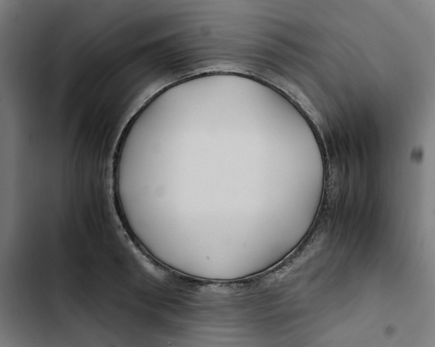 X0000102510898200809051407