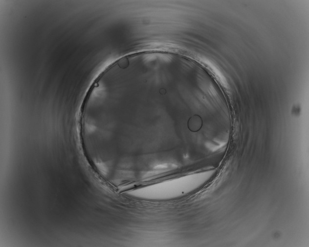X0000102510899200809051407