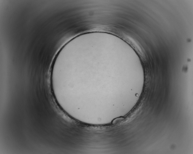 X0000102510900200809051407