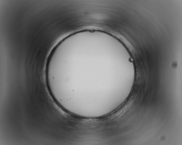 X0000102510902200809051407