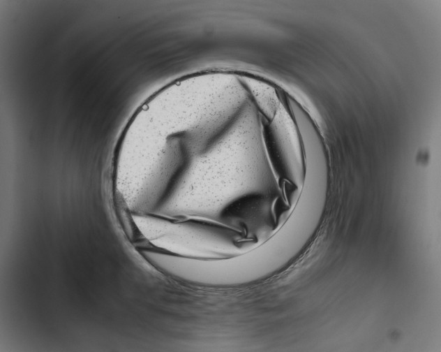 X0000102510903200809051407