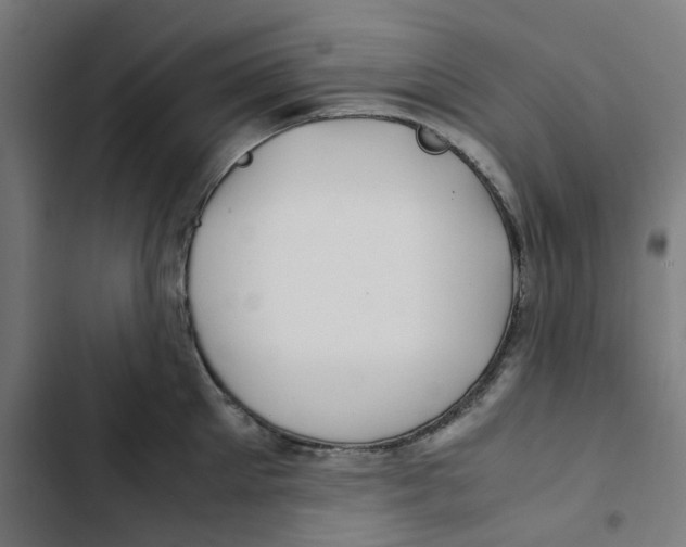 X0000102510905200809051407