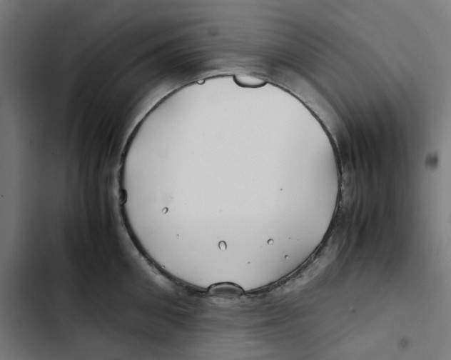 X0000102510906200809051407