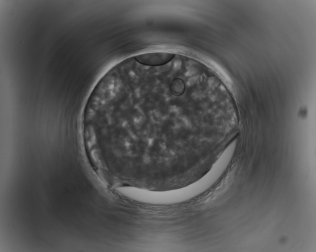 X0000102510907200809051407