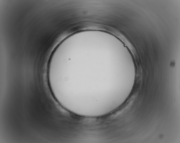 X0000102510909200809051407