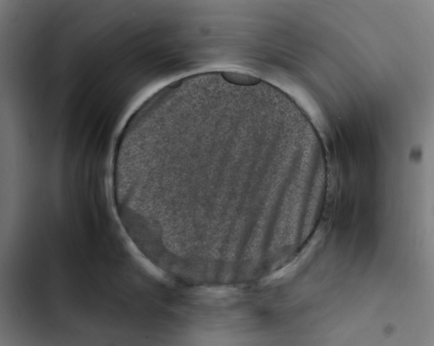 X0000102510910200809051407