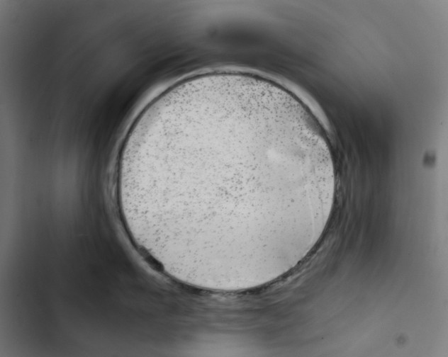 X0000102510911200809051407