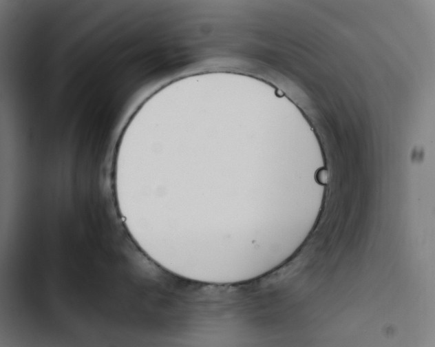 X0000102510912200809051407
