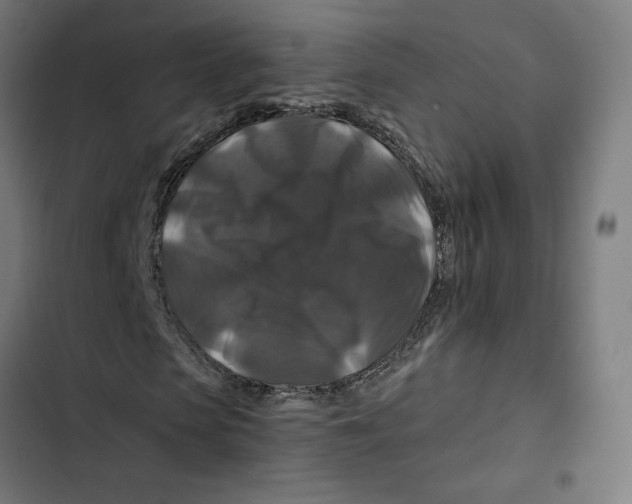 X0000102510913200809051406