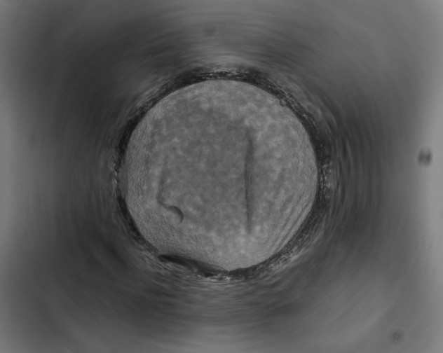 X0000102510916200809051407