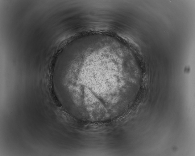 X0000102510917200809051407