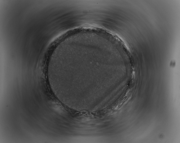 X0000102510919200809051407