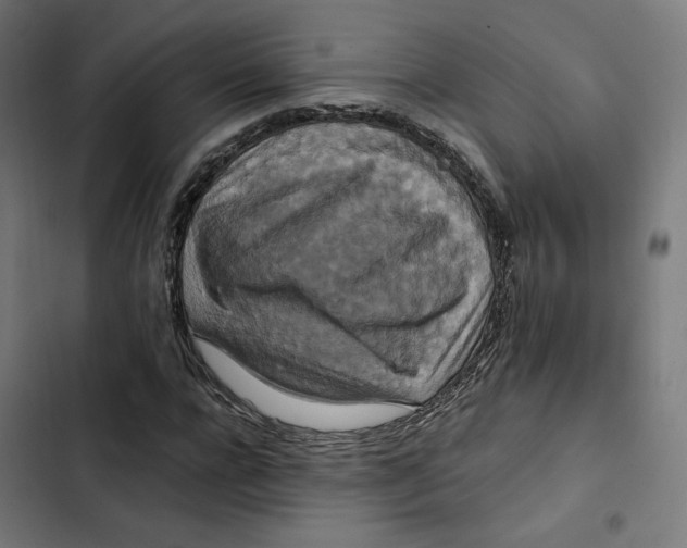 X0000102510920200809051407