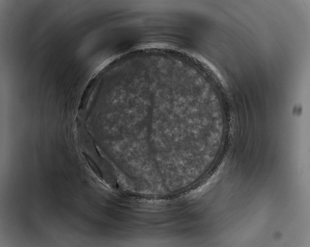 X0000102510921200809051407