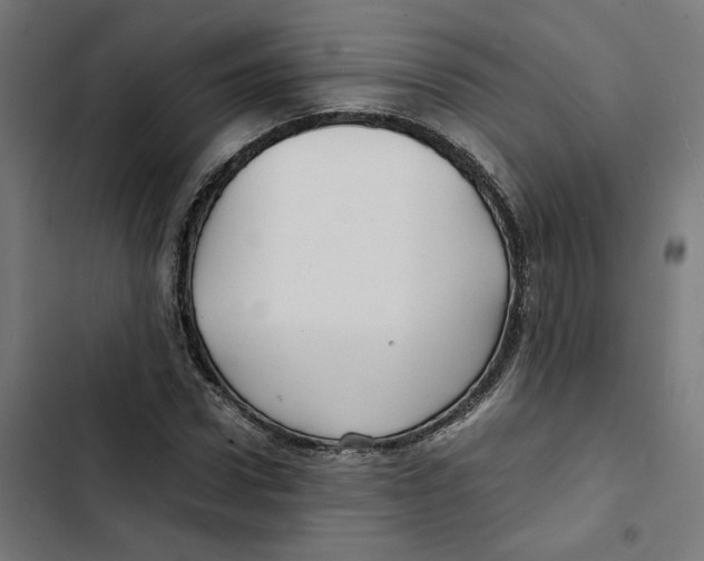 X0000102510922200809051407