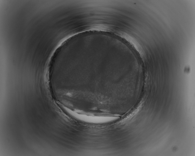 X0000102510923200809051407