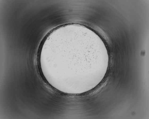 X0000102510924200809051407