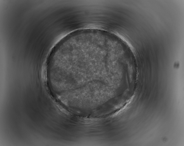 X0000102510925200809051407
