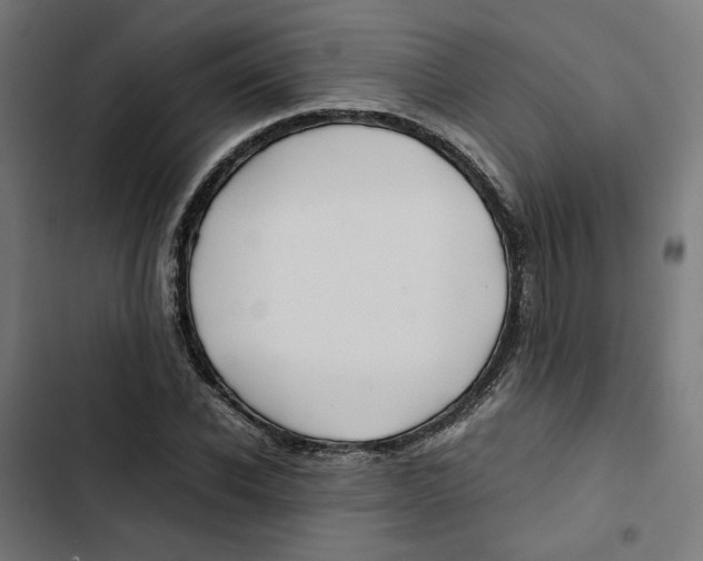 X0000102510926200809051407