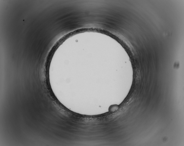 X0000102510927200809051407