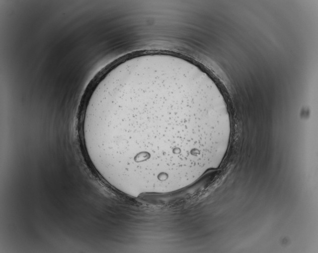 X0000102510928200809051407