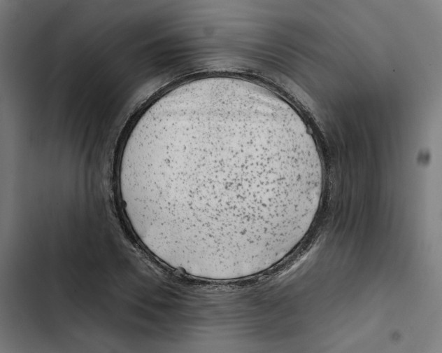 X0000102510930200809051407