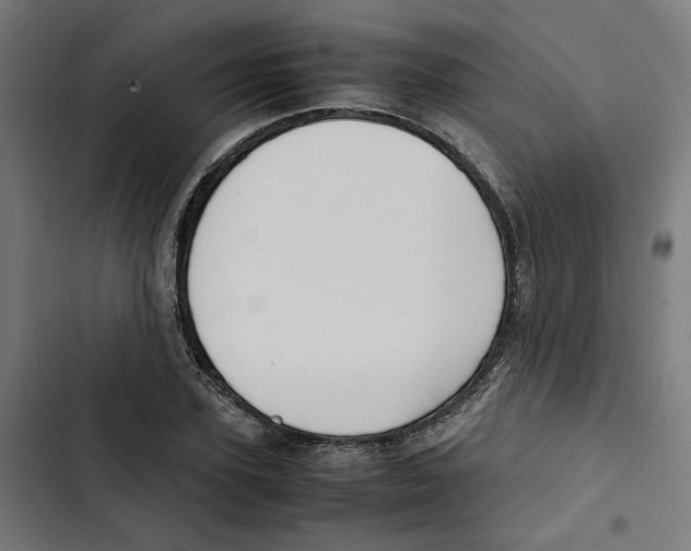 X0000102510931200809051407