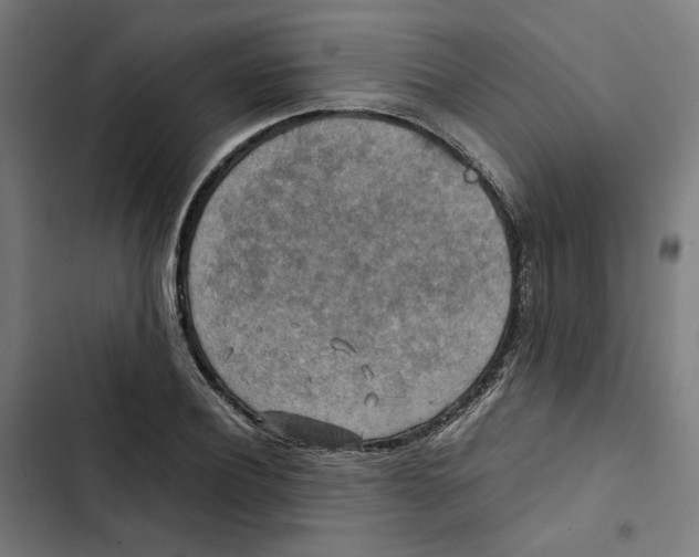 X0000102510932200809051407