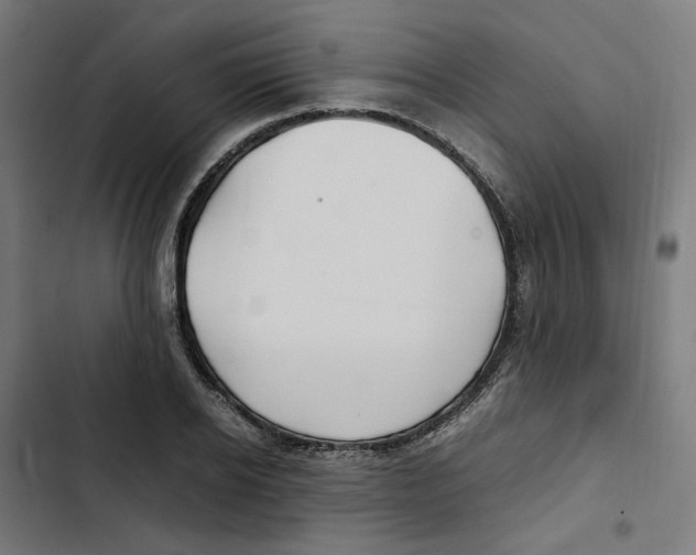 X0000102510934200809051407