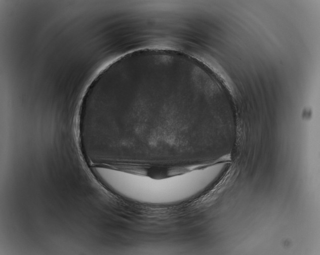 X0000102510935200809051407