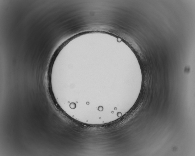 X0000102510936200809051407