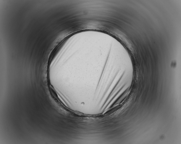X0000102510938200809051407