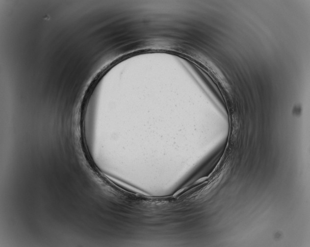 X0000102510939200809051407
